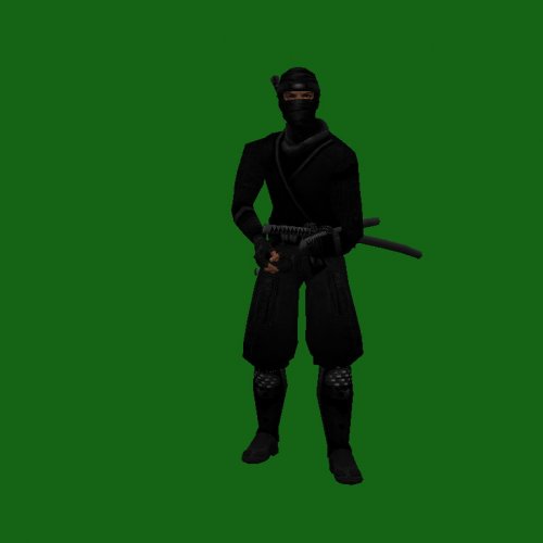 DGF_Ninja