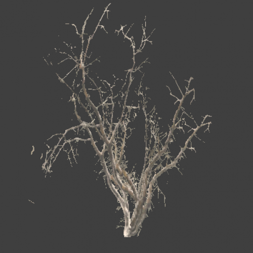 !tree_19