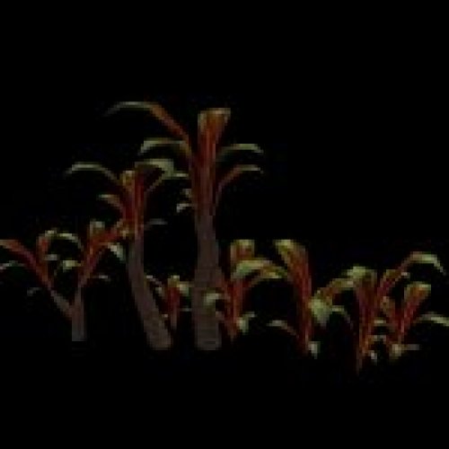 unplant02.mdl