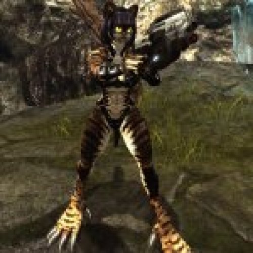 Cat Faction