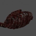 tesv_ribs