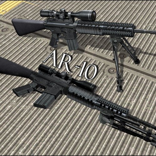 AR-10