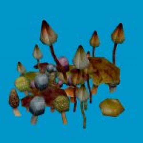 mushroom_clump_05