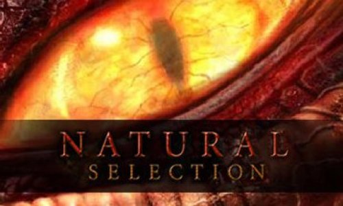 Natural Selection