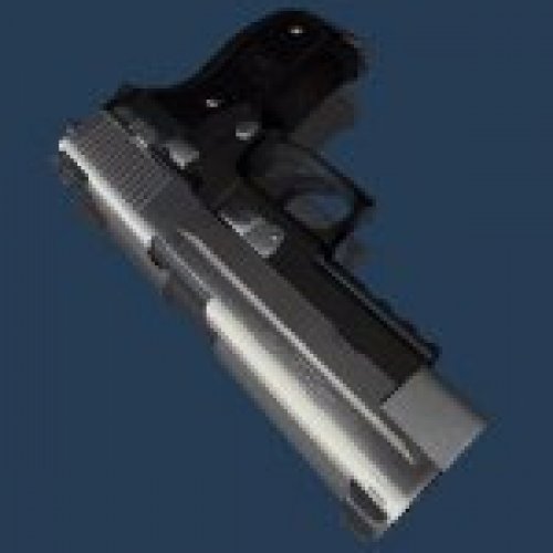 SIG P226 Two Toned