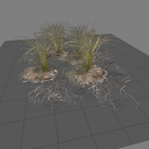 l10swamp_plant_group5