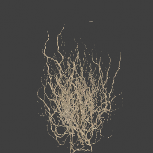 tree_17