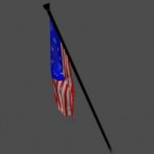 nev_american fleag