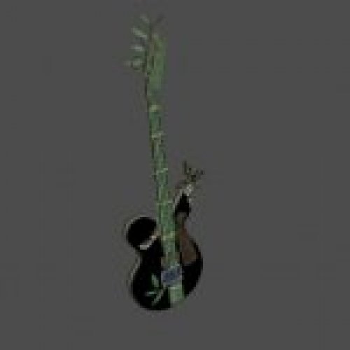 bass4