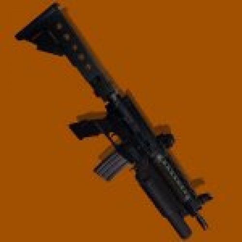 LR 300 with M203