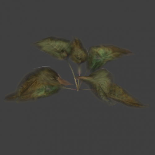 plant1