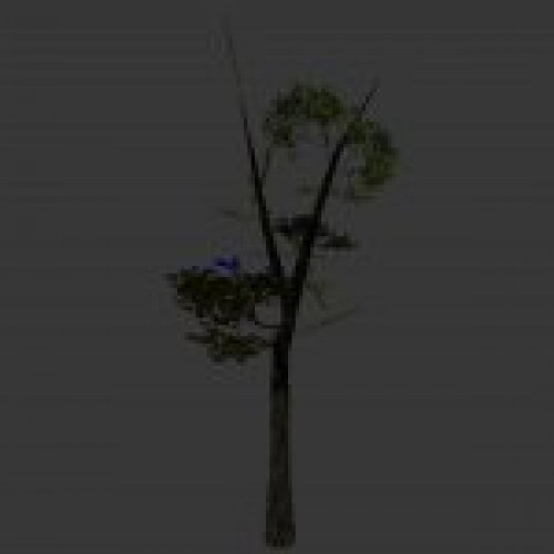 tree_btrunkv01.mdl