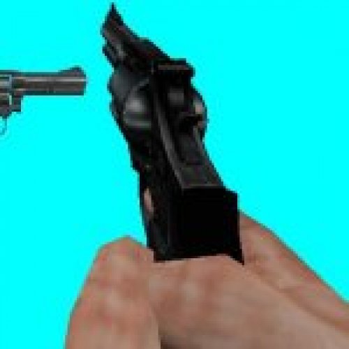 SW Combat Magnum BS