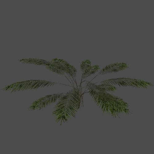 byka_bush2