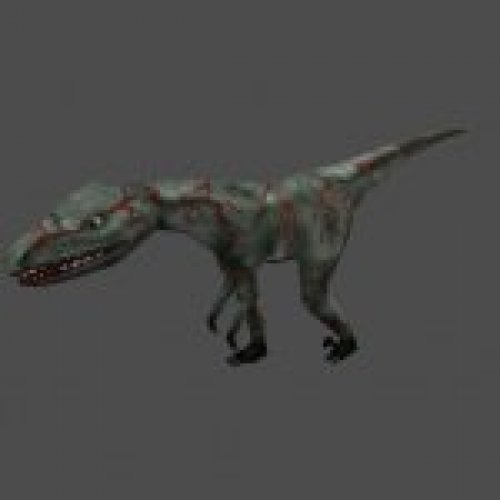 raptor