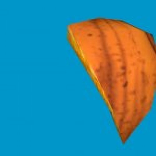 pumpkin chunk5