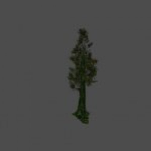 tree16