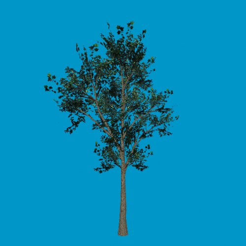 tree04b_sg