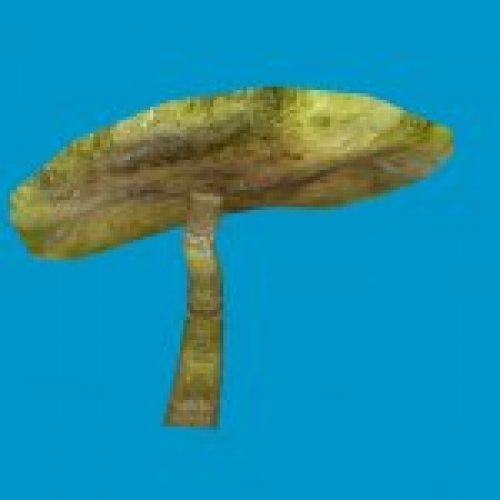 sta_mushroom_38