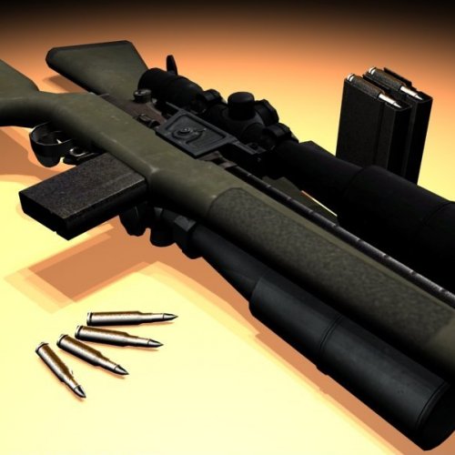 L4D2 M14 Reanimation