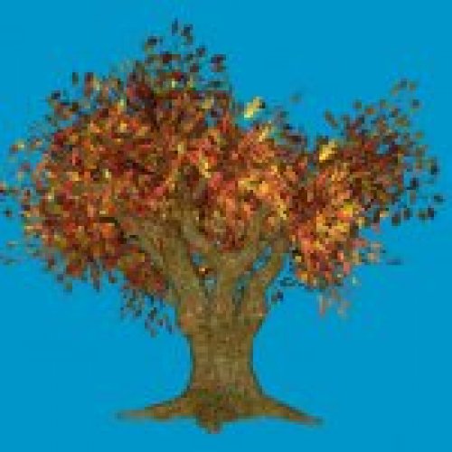 jn_falltree_01