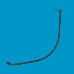 wireset2