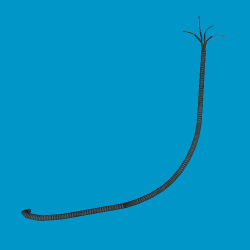 wireset2