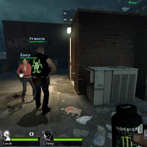 Biohazard Francis