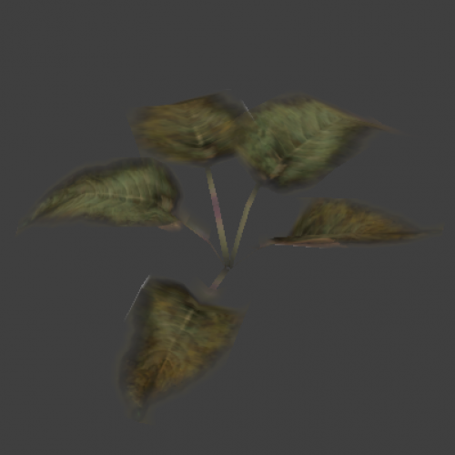 plant2