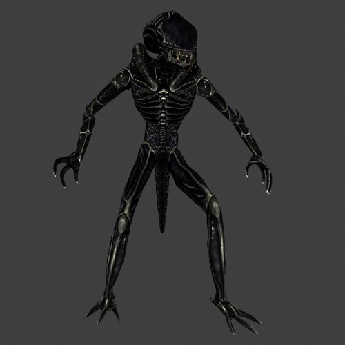 Xeno (old school)