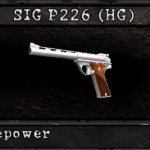 AMT AutoMag GTA 5 EFLC