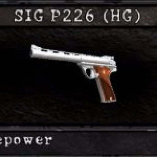 AMT AutoMag GTA 5 EFLC