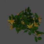 pc_Flower_09_Mesh