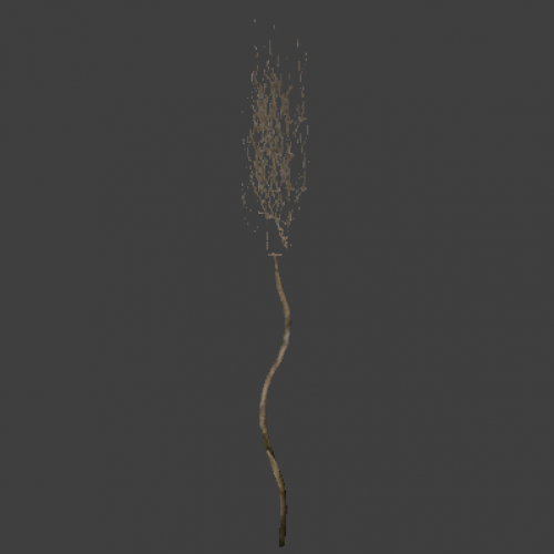 l10_swamp_kamysh_tree2