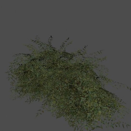 p2_bush01