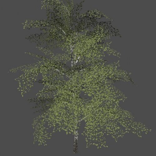 mex_bereza_green