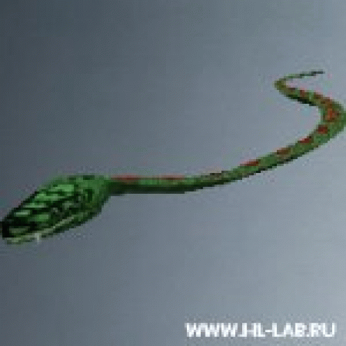 snake