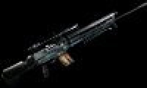Sig550