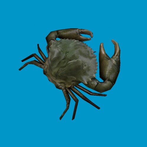 crab