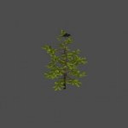 bush2