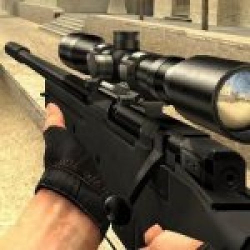 Lonewolf's AWP