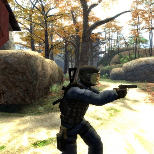 SoJa's Tokarev Anims