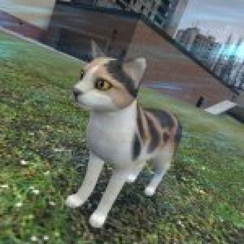 cutecat