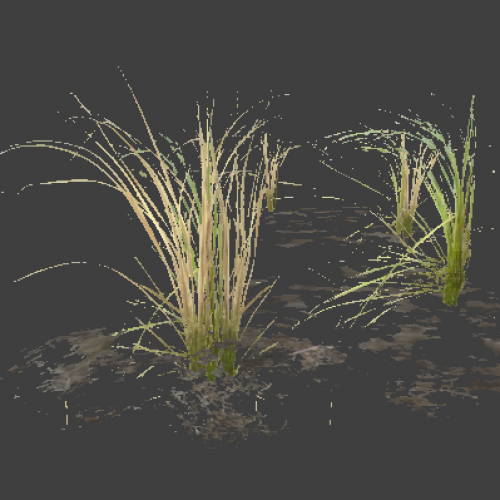 l10swamp_plant_group4