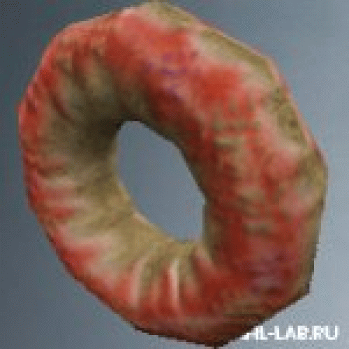 donut