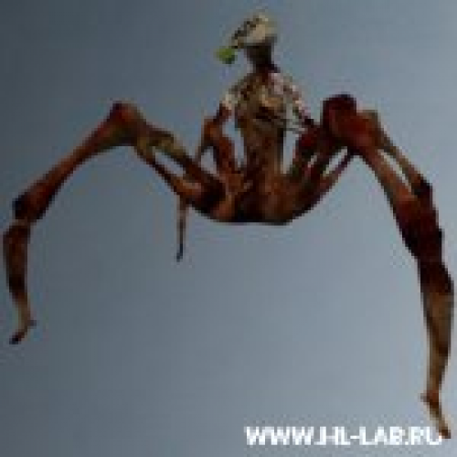 spider.mdl