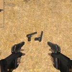 NR s Dual Tokarev Conversion (CZ ver.)