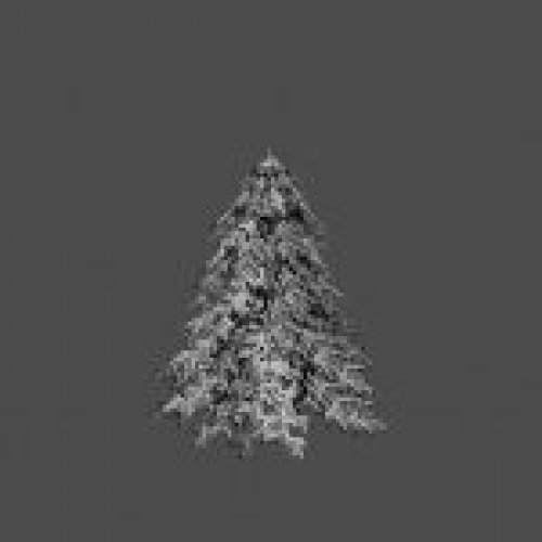 tree35