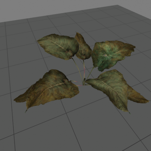 plant1