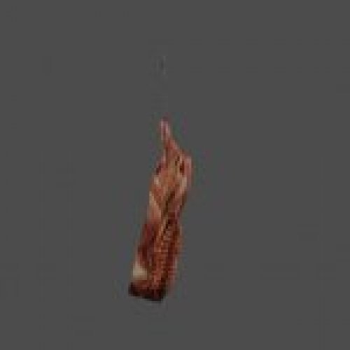 meat_hanging